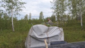 Биотехния для косули от А до Я для начинающих охотников/Как получить разрешение на добычу копытных