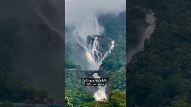 Dudhsagar waterfalls #dudhsagar #goa #nature #travel #waterfalls