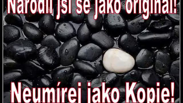 K.T.C. - Sláva vítězství смотреть онлайн