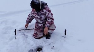 Рыбалка на Жерлицы и Наживки в Глухозимье! Волшебная Рыбалка на Лесных озёрах!