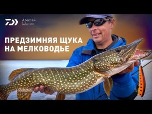 ПРЕДЗИМНЯЯ ЩУКА НА МЕЛКОВОДЬЕ x АЛЕКСЕЙ ШАНИН