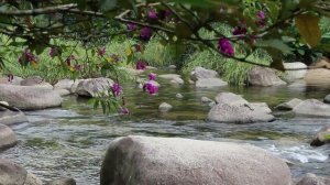 Кундалини йога! Музыка для йоги, медитации и расслабления!