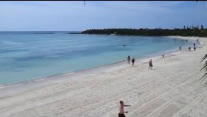 Мексика  Отель Барсело Майя Бич  Barcelo Maya Beach