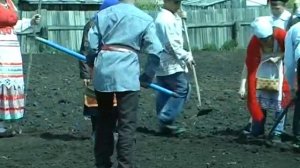 Процесс посадки и обработки льна - Посадка льна (боронование) (06)