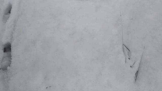 Весна - Красота Природы смотреть онлайн