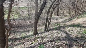 PWK 32 НА ИЖ ЮПИТЕР 5. Настоящая резвость!