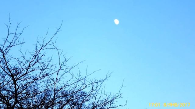 РЕЛАКС. НИКОЛАЕВ. ЯНВАРЬ 2017. СОЛНЦЕ И ЛУНА. смотреть онлайн