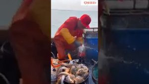 Готовить живым!!!???