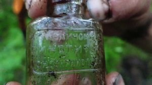 Коп в лесу.Александр(реставратор).Видео №24