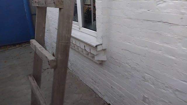 Комнатные цветы на южном подоконнике. смотреть онлайн