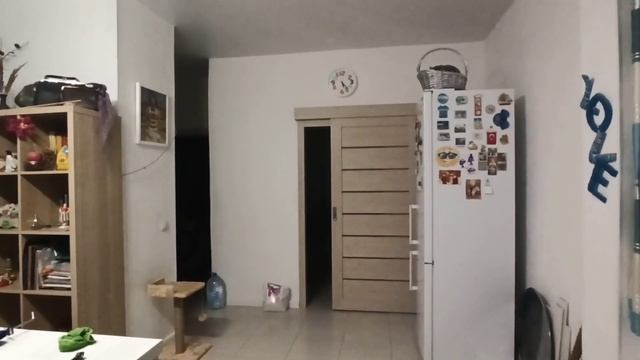 Мелкие доделки и морс из облепихи. смотреть онлайн