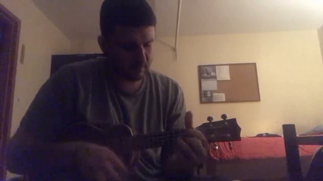 Eddie Vedder “Rise” Ukulele Cover смотреть онлайн