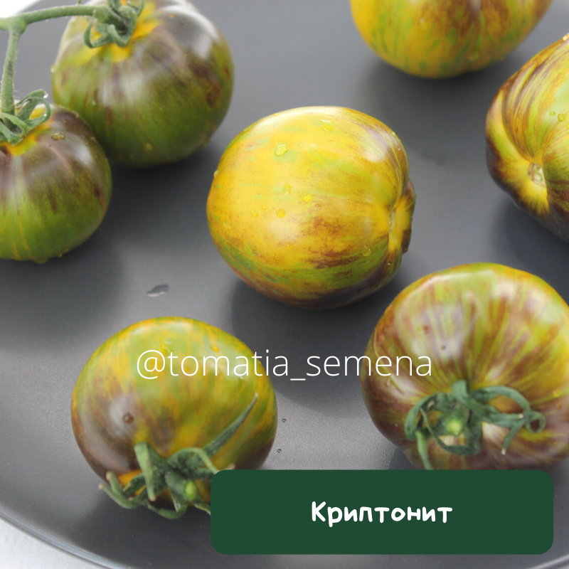 Криптонит