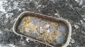 Супер кормушка для овец своими руками 😉