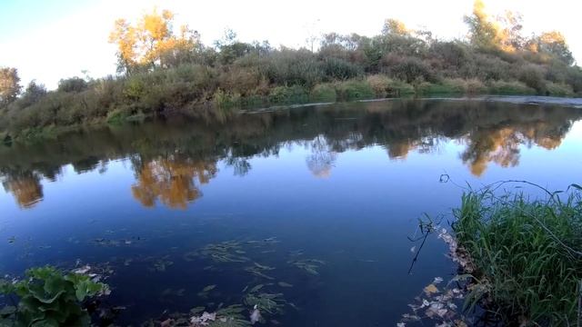 Ловля на поплавок плотвы и густеры. Осенняя рыбалка на речке