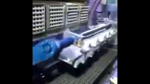 Формовка яичных лотков