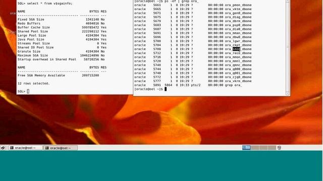 Oracle DBA Online Training | Oracle DBA Training смотреть онлайн