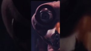 Кто такой Оззи Страус | Страна Чудес Вилли