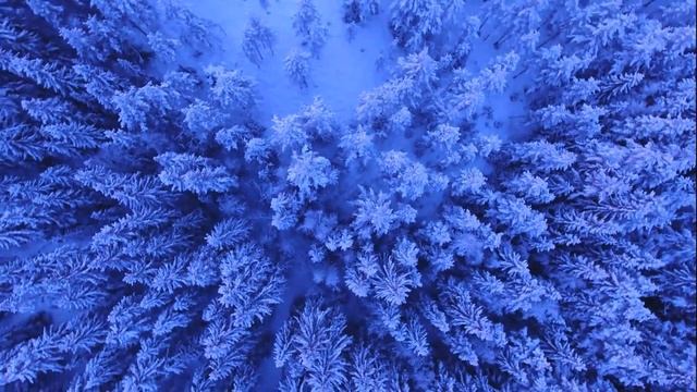 19 февраля Заговори мужа против полового бессилия Волшебные Практики Светлана ВЕДА смотреть онлайн