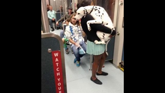 Смешные люди в транспорте