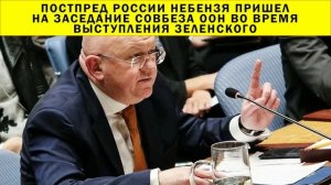 СРОЧНО!!! Постпред России Небензя пришел на заседание Совбеза ООН во время выступления Зеленского