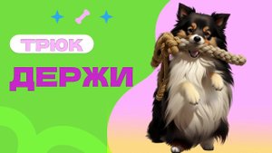 Трюк ДЕРЖИ во рту предмет