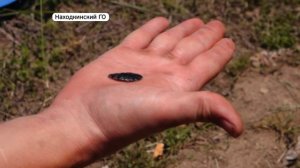 Археологи продолжают раскопки древнего поселения на территории НЗМУ