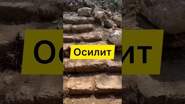 Дорогу осилит идущий