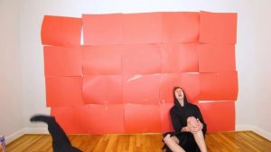 HOTEL TRANSYLVANIA WITH ZERO BUDGET! (Hotel Transylvania 3 MOVIE PARODY By LANKYBOX!)