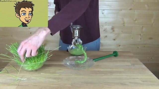 Ручная шнековая соковыжималка Wheatgrass Manual Juicer