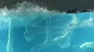 Муравьиная ферма Замок