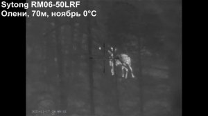 Изображение в тепловизионном прицеле Sytong RM06 50LRF