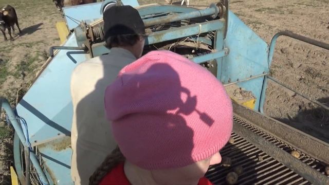 Второй хлеб, урожай убран. Лимузин на подхвате. смотреть онлайн