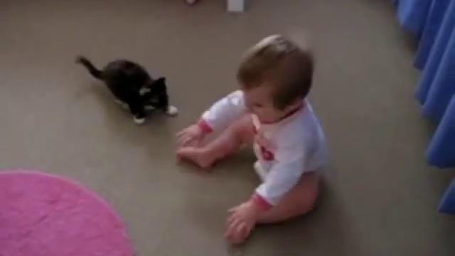 Котенок и ребенок играют смотреть онлайн