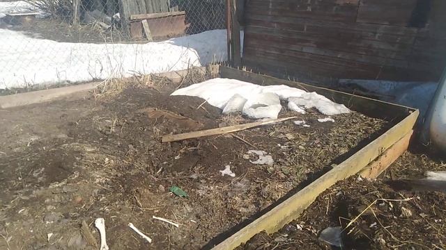 Осели теплые грядки, что делать? // Как исправить ситуацию ? // С.Х.У смотреть онлайн