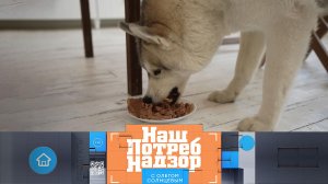Приманки в корме для домашних животных и проверка средств от прыщей | «НашПотребНадзор»