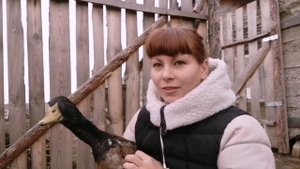 Как отличить утку от селезня.