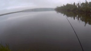 Снасть "Убийца карася" Рыбалка (ч.2)/Tackle the "Killer carp" Fishing