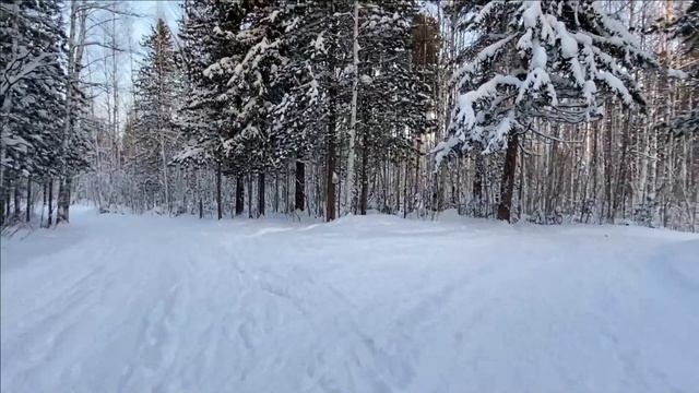 СКАЗОЧНЫЙ ЗИМНИЙ ЛЕС смотреть онлайн