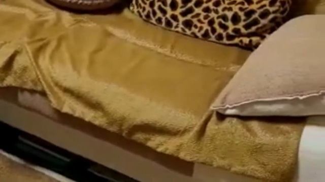 Отзыв о диване-книжке Лодочка от фабрики Промтрейдинг
