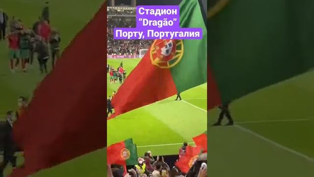 Стадион “Dragão”, Порту, Португалия. 29/03/2022