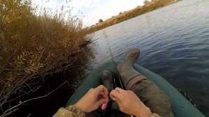 Щука осенью на спиннинг, на джиг и вертушку