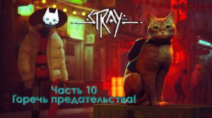Stray. Часть 10. Горечь предательства!