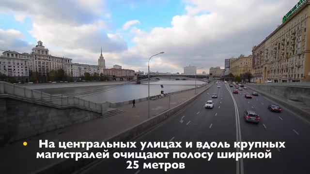 Должны ли убирать листья в городе? смотреть онлайн
