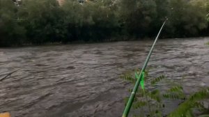 Рыбалка на реке ловля Усача