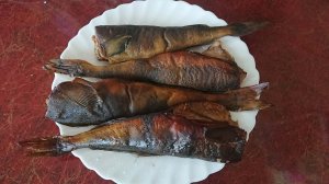 Копчение рыбы
