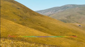 Зульмира Мустафаева  - Эй дарган (2023)