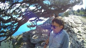 Сосна самолет на горе Ай-Петри