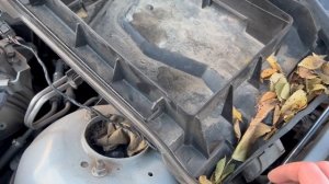 Чистка дренажных отверстий BMW E39