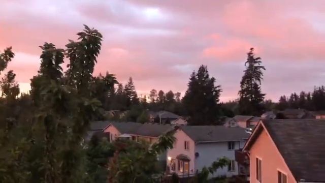 Линвуд, Сиэтл Вашингтон смотреть онлайн